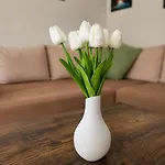 Daire Prinzregent - Grosse Zentrale Wohnung, Ideal Fuer Gruppen & Familien *