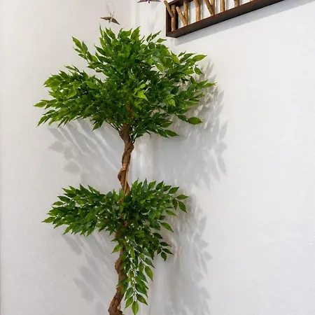 Prinzregent - Grosse Zentrale Wohnung, Ideal Fuer Gruppen & Familien * Bad Kissingen